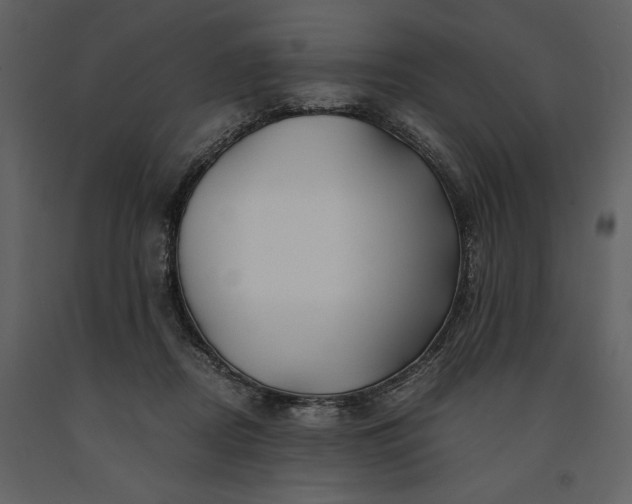 X0000091220362200708231636