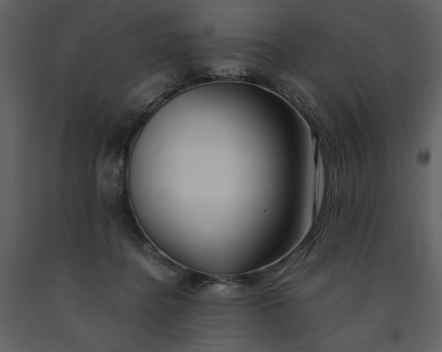 X0000091220364200708231636