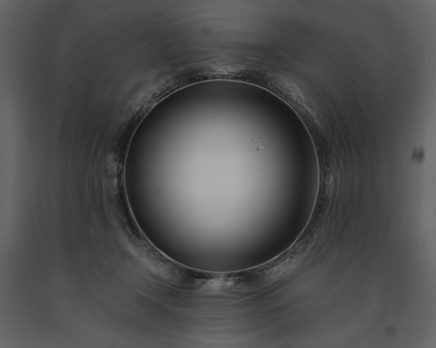 X0000091220366200708231636