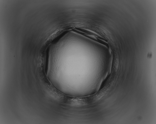 X0000091220367200708231636