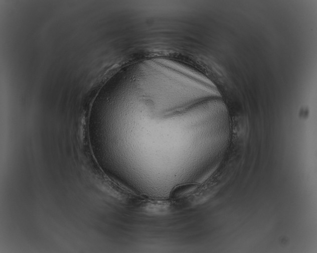 X0000091220369200708231636