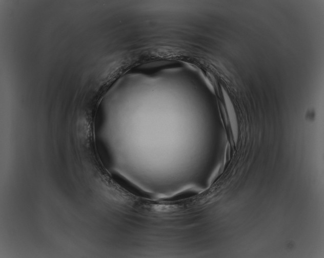 X0000091220371200708231636