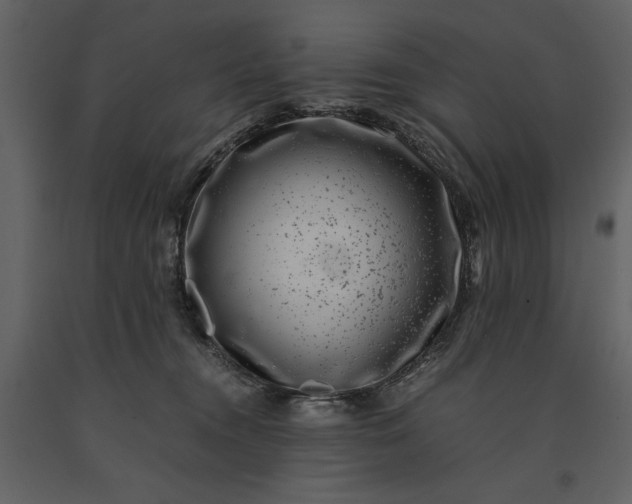 X0000091220372200708231636