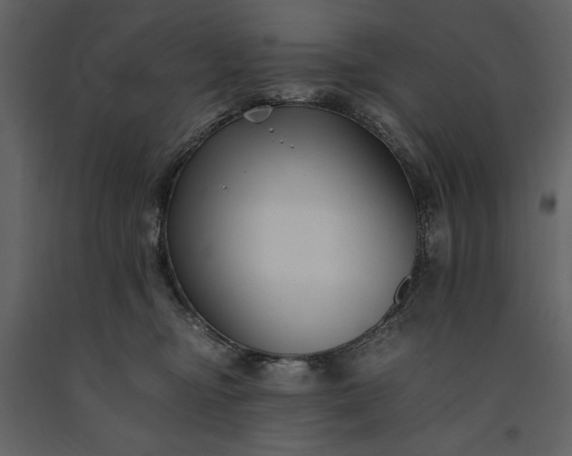 X0000091220374200708231637