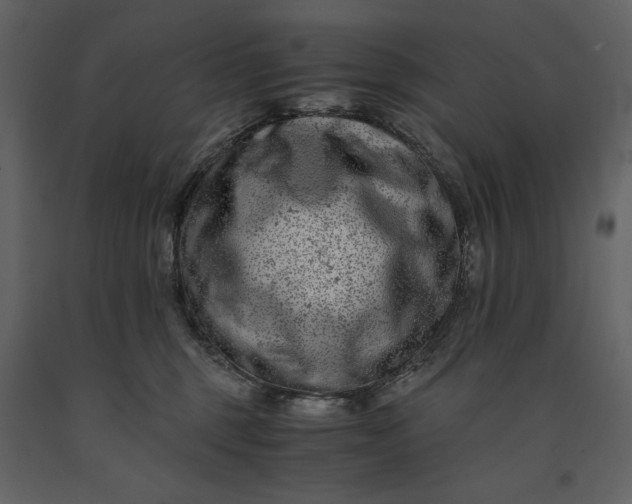 X0000091220375200708231637