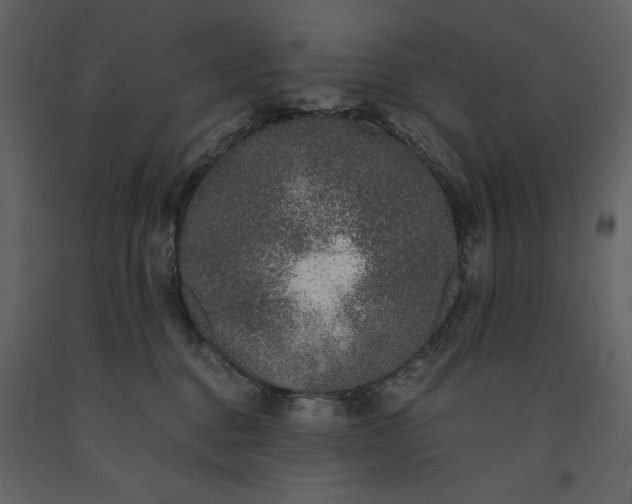 X0000091220376200708231637