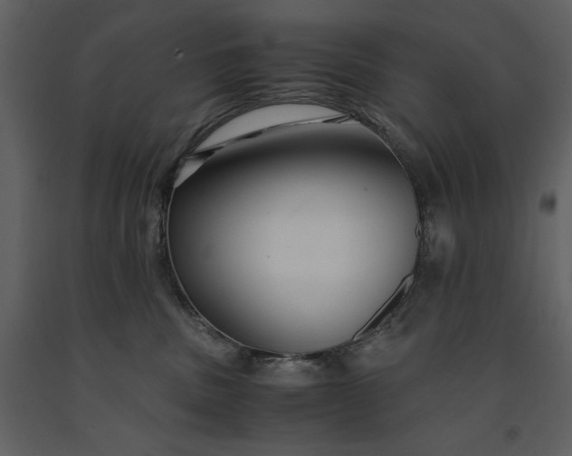 X0000091220379200708231637