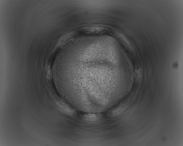 X0000091220381200708231637