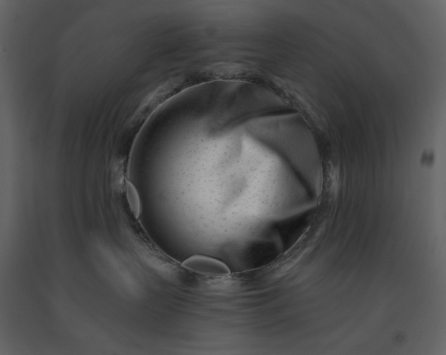 X0000091220383200708231637