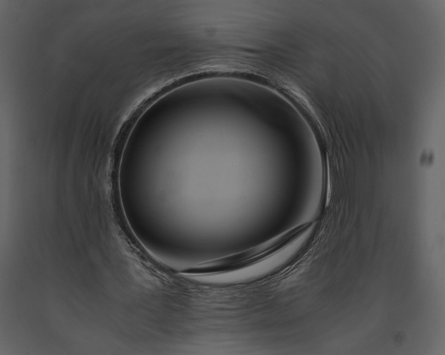 X0000091220387200708231636