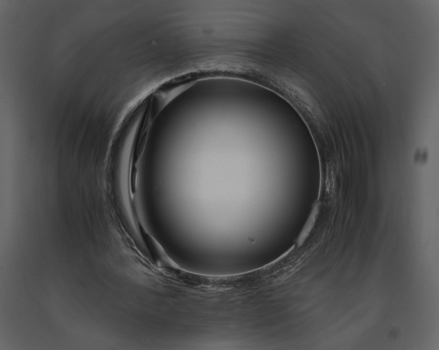 X0000091220388200708231636