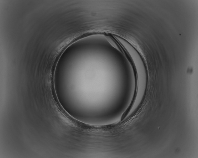 X0000091220389200708231636