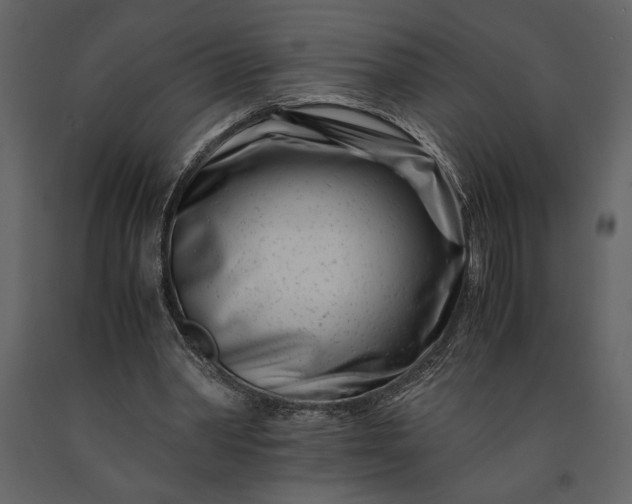 X0000091220390200708231636