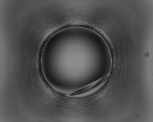 X0000091220391200708231636