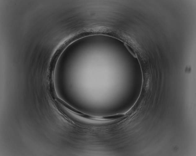 X0000091220392200708231636