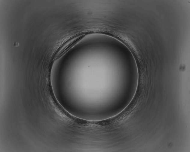 X0000091220393200708231636