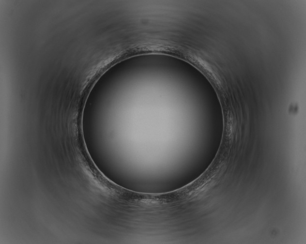 X0000091220394200708231636