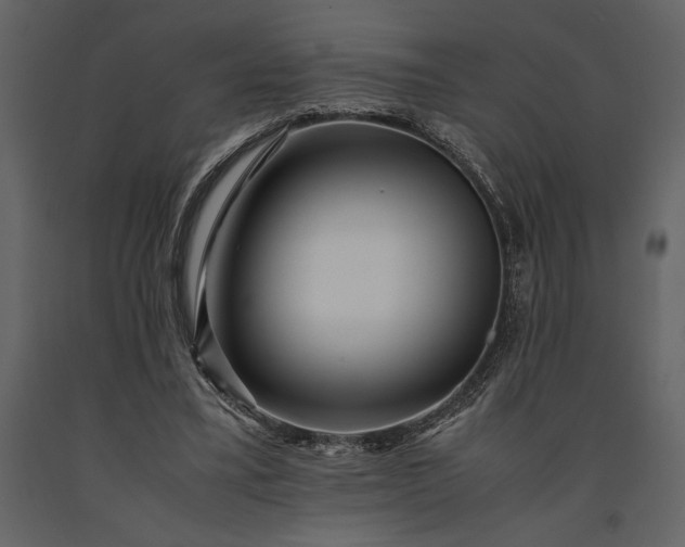 X0000091220395200708231636