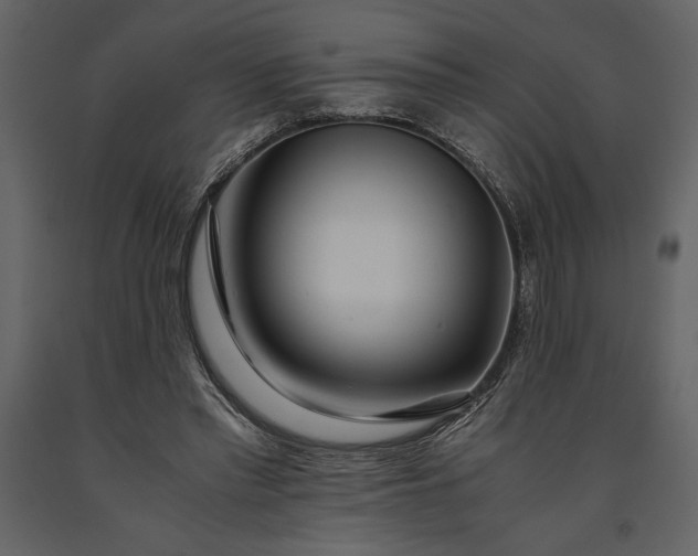 X0000091220397200708231636