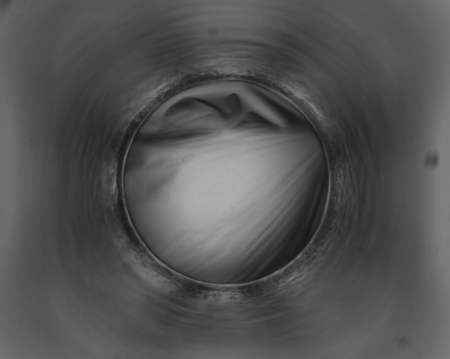 X0000091220398200708231636