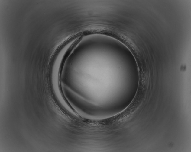 X0000091220399200708231636