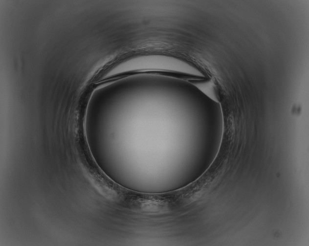 X0000091220400200708231636