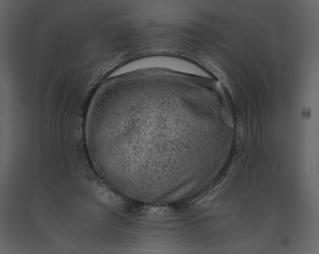 X0000091220401200708231636