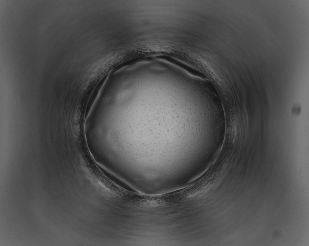 X0000091220402200708231636