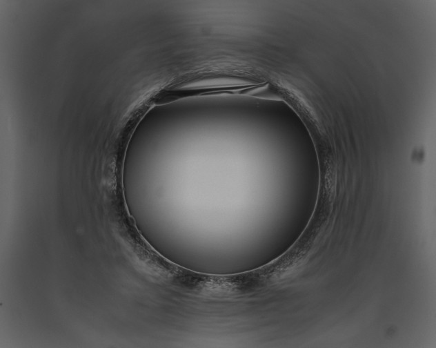 X0000091220403200708231636