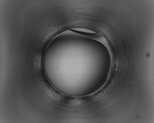 X0000091220404200708231636