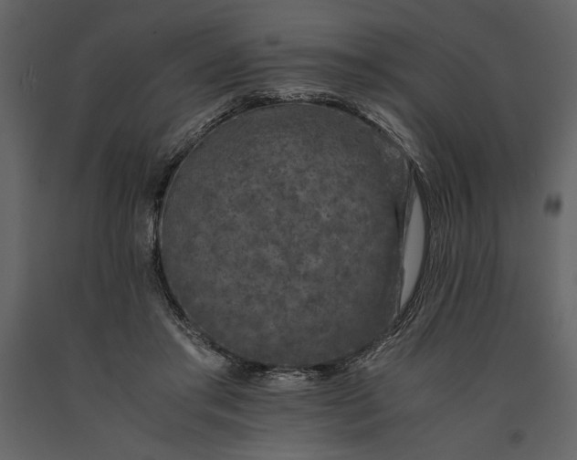 X0000091220405200708231636