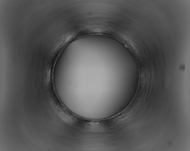 X0000091220406200708231636