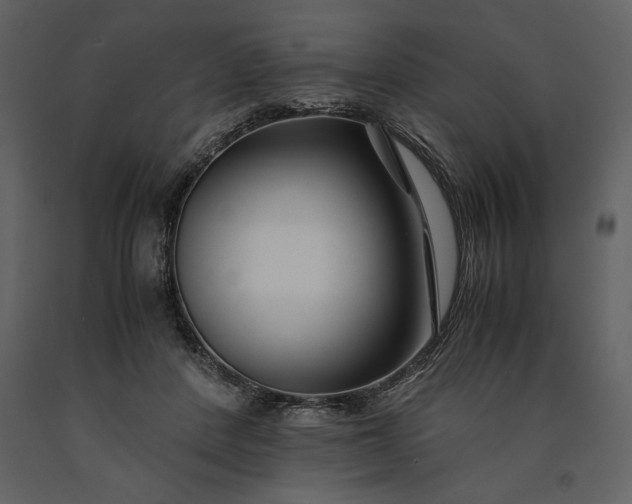 X0000091220408200708231636