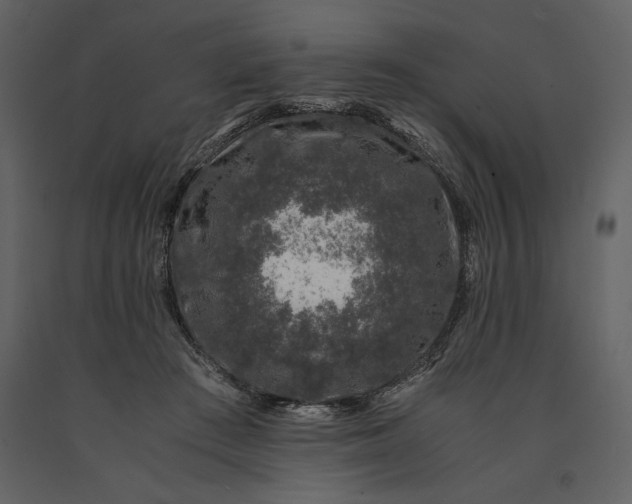 X0000091220409200708231636