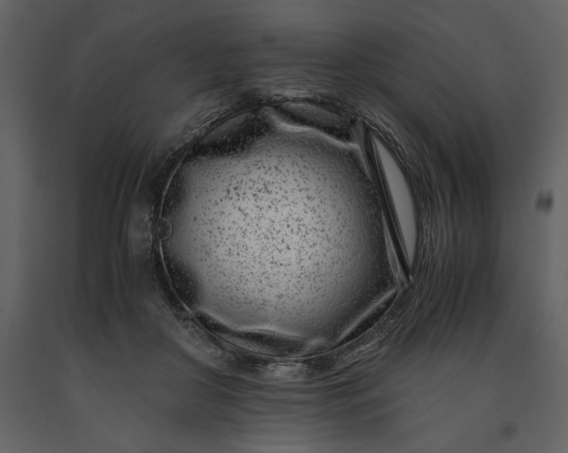 X0000091220410200708231636