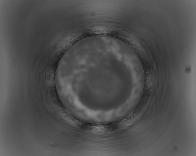 X0000091220411200708231636