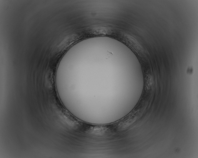 X0000091220414200708231636