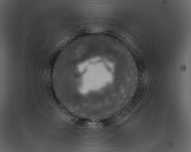 X0000091220415200708231636