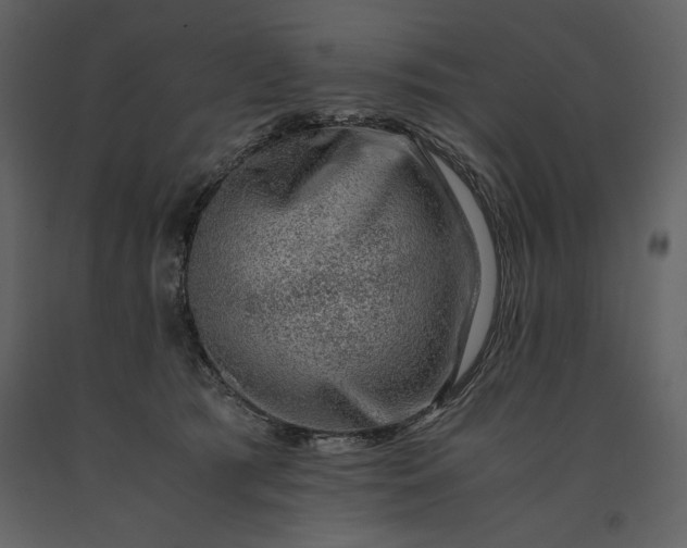 X0000091220417200708231635