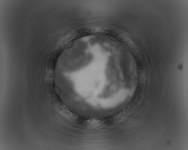 X0000091220419200708231635