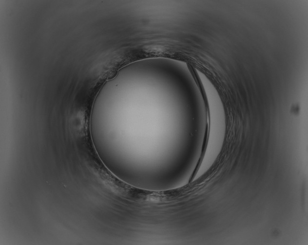 X0000091220420200708231635