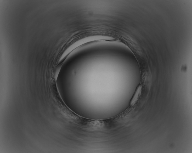 X0000091220421200708231635