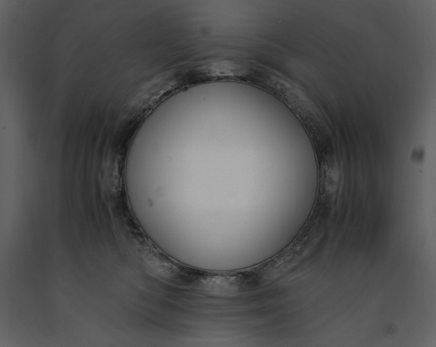 X0000091220422200708231635