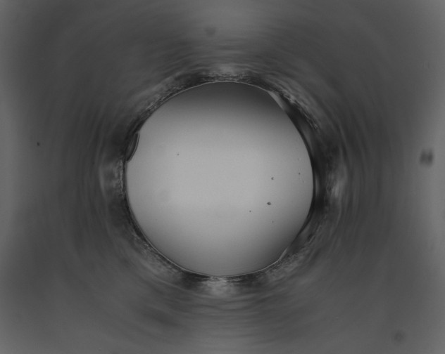 X0000091220425200708231635