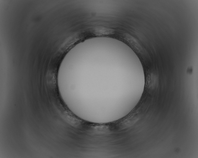 X0000091220426200708231635