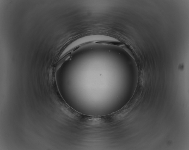 X0000091220428200708231635