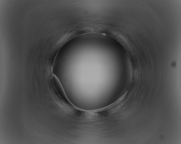 X0000091220429200708231635