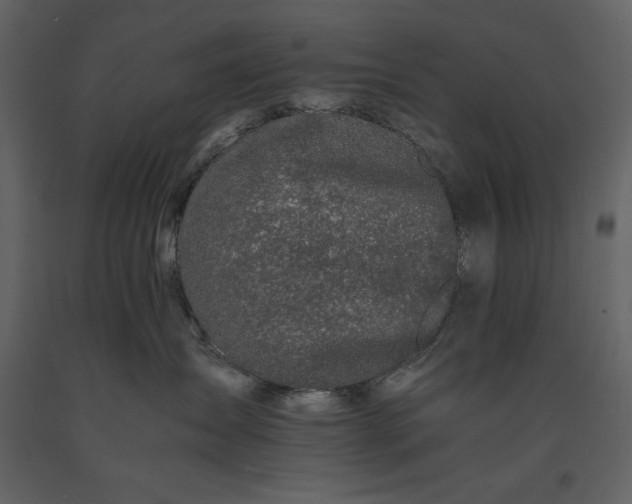 X0000091220431200708231635