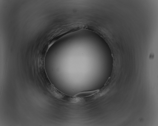 X0000091220432200708231635