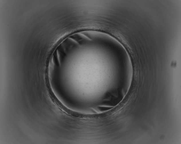 X0000091220434200708231634